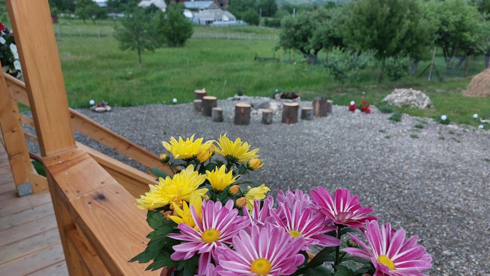 Chalet Tiny Moldovibe